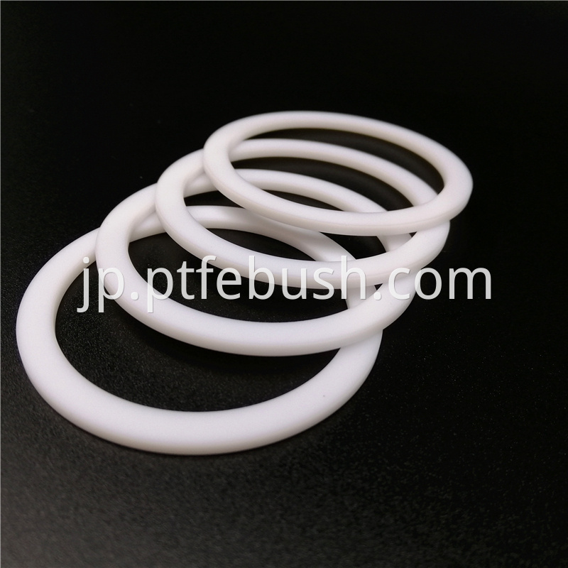 Oil Seal